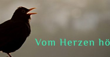 Wochenmeditation Vom Herzen hören