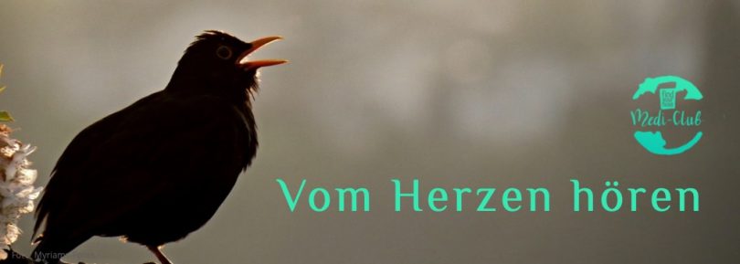 Wochenmeditation Vom Herzen hören