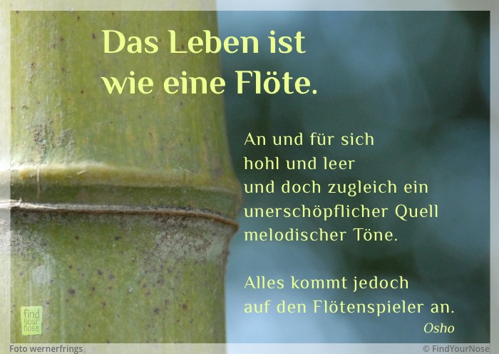 Osho Zitat