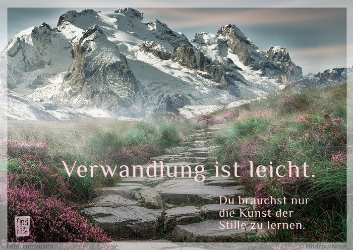 Verwandlung