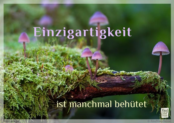 Einzigartigkeit ist manchmal behütet