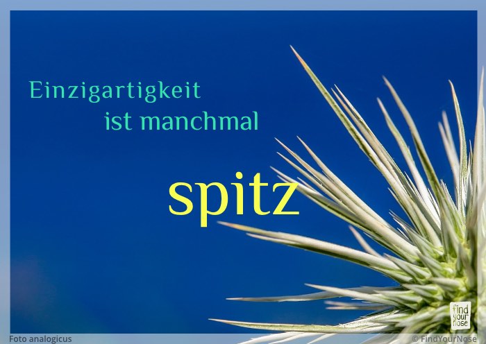 Einzigartigkeit ist manchmal spitz