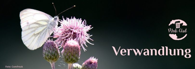 Wochenmeditation Verwandlung