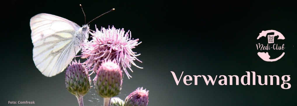 Wochenmeditation Verwandlung