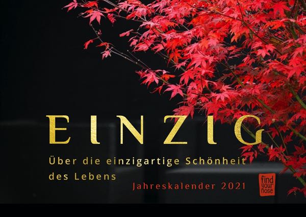 Jahreskalender 2021 Einig