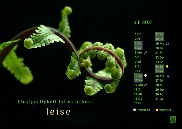 Einzigartigkeit ist manchmal leise