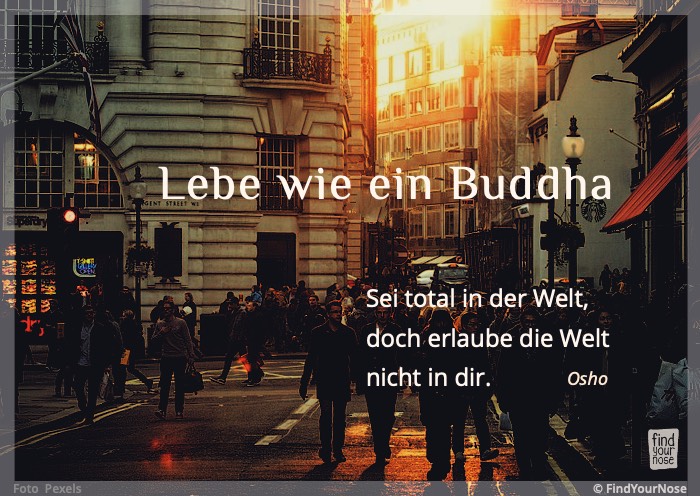 Lebe wie ein Buddha