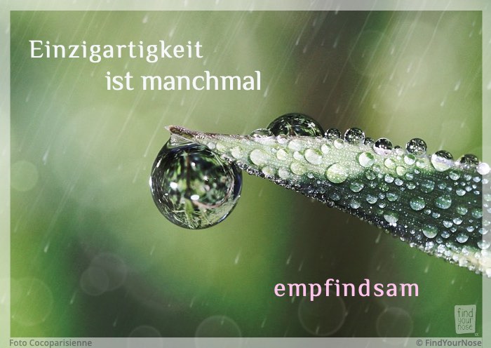 Einzigartigkeit ist manchmal empfindsam
