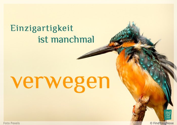 Einzigartigkeit ist manchmal verwegen