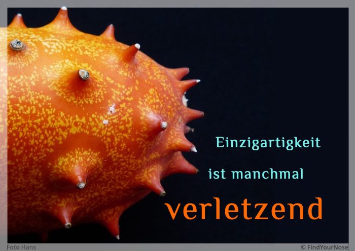 Einzigartigkeit ist manchmal verletzend