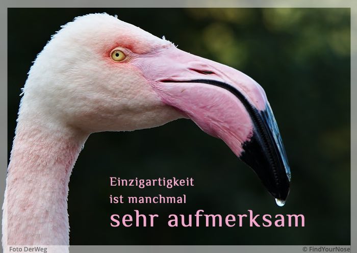 Einzigartigkeit ist manchmal aufmerksam