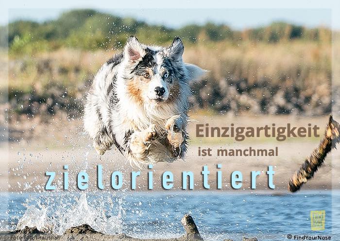 Einzigartigkeit ist manchmal zielorientiert