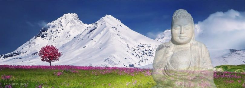 Meditation 'Ich bin' - die große Verwandlung