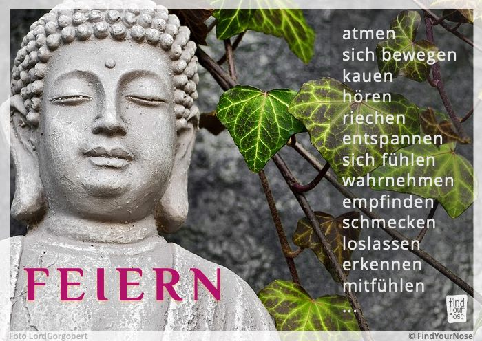 Bildzitat feiern