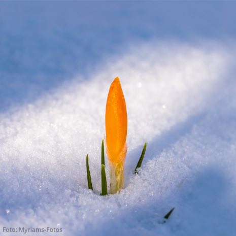 Du bist ein Meisterstück