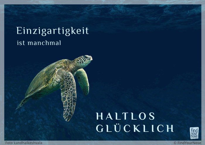 Einzigartigkeit ist manchmal haltlos glücklich