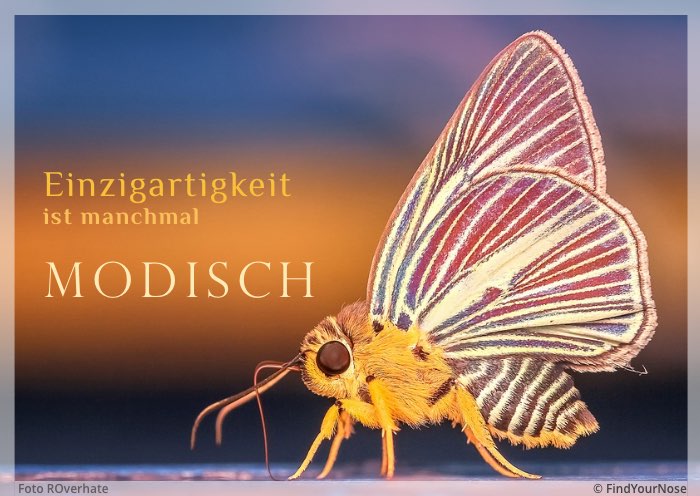 Einzigartigkeit ist manchmal modisch