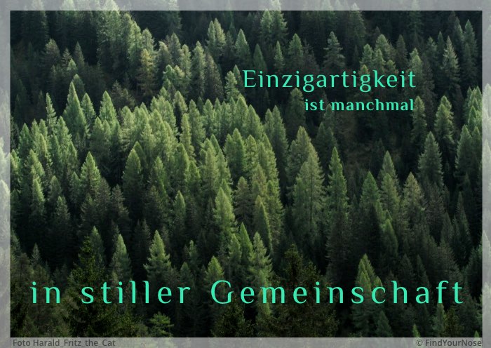 Einzigartigkeit ist manchmal in stiller Gemeinschaft