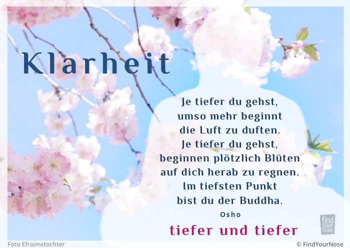 Klarheit