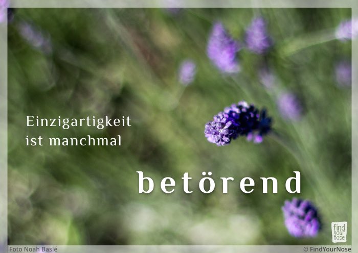 Einzigartigkeit ist manchmal betörend