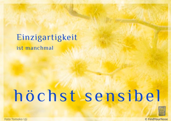 Einzigartigkeit ist manchmal höchst sensibel