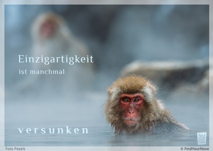 Einzigartigkeit ist manchmal versunken
