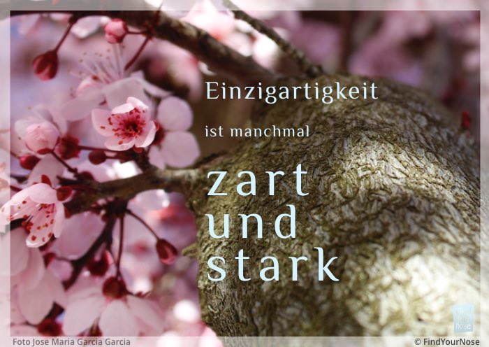 Einzigartigkeit ist manchmal stark und zart