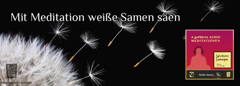 Geführte Meditationen - Audio Anleitungen