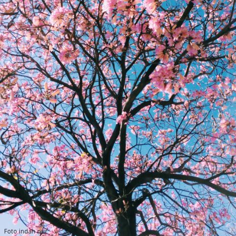 Du bist ein Meisterstück