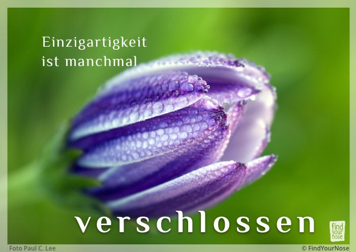 Einzigartigkeit ist manchmal verschlossen