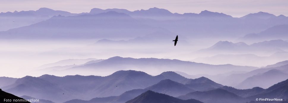 Meditation, wenn du in der Krise steckst