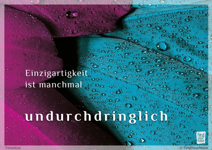 Einzigartigkeit ist manchmal undurchdringlich