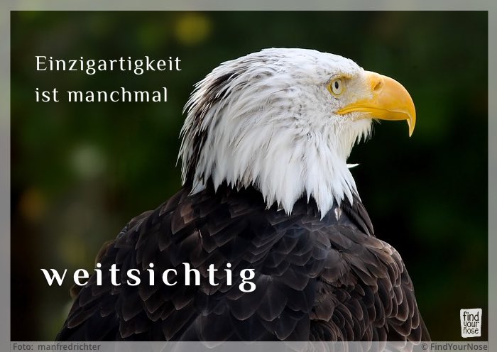 Einzigartigkeit ist manchmal weitsichtig