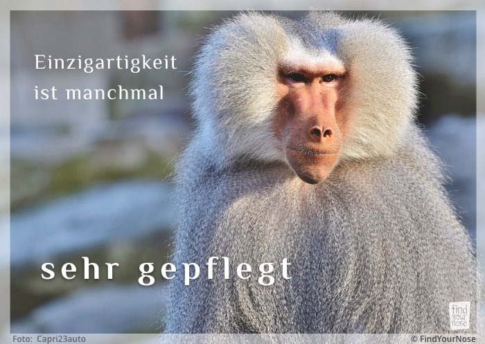Einzigartigkeit ist manchmal sehr gepflegt