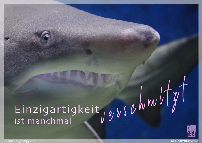 Einzigartigkeit ist manchmal verschmitzt