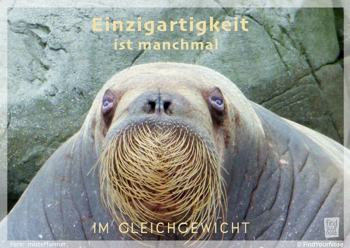 Einzigartigkeit ist manchmal im Gleichgewicht