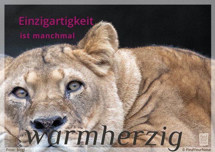 Einzigartigkeit ist manchmal warmherzig
