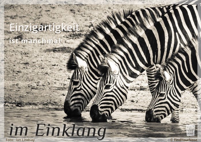 Einzigartigkeit ist manchmal im Einklang