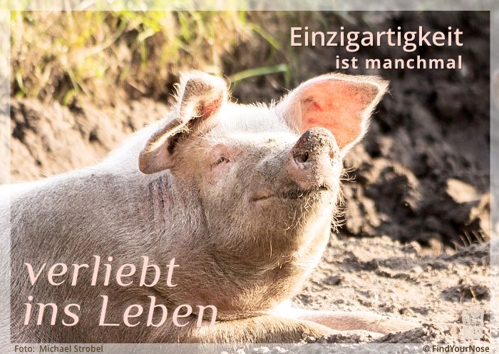 Einzigartigkeit ist manchmal verliebt ins Leben