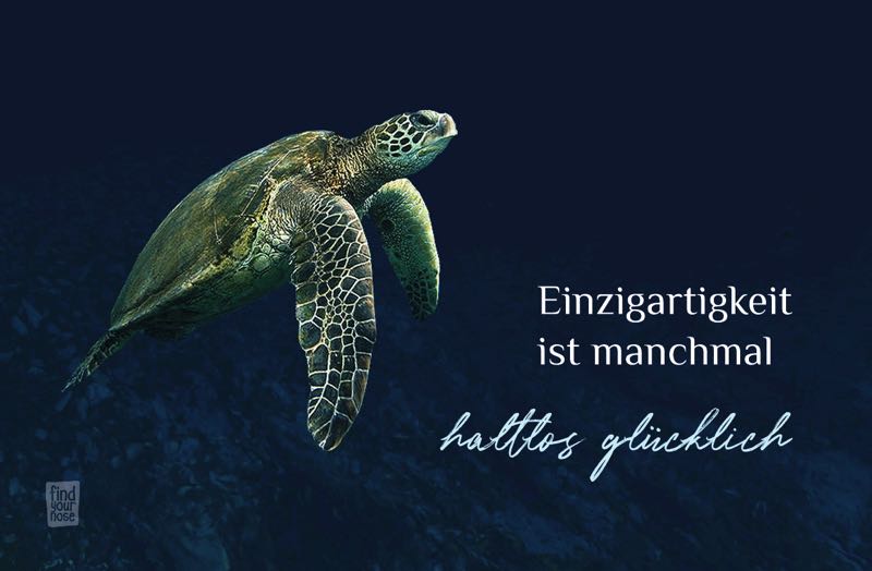 Einzigartigkeit