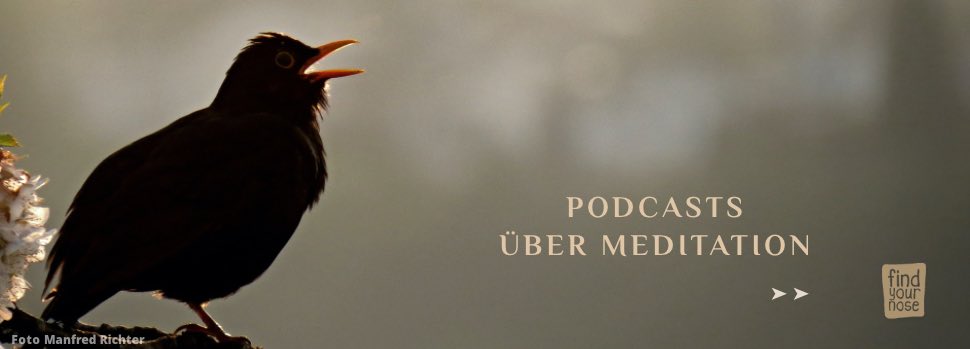 Podcasts über Meditation