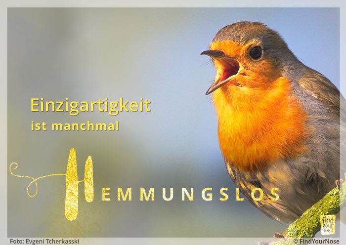 Einzigartigkeit ist manchmal hemmungslos