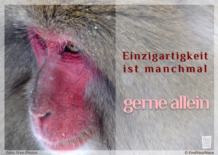 Einzigartigkeit ist manchmal gerne allein