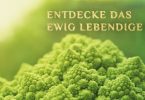 Entdecke das ewig Lebendige