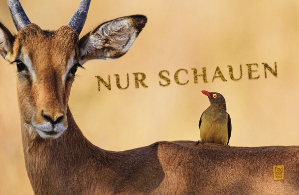 Nur schauen – alterslos MeditationsKarten