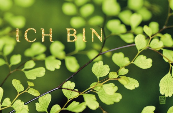 Ich bin – alterslos Meditationskarten
