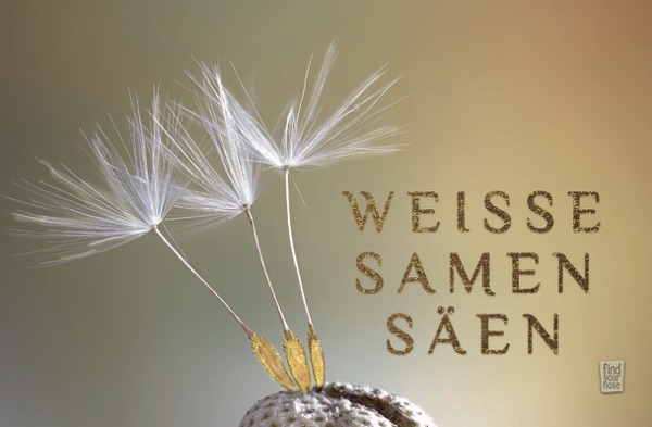 alterslos Meditationskarten