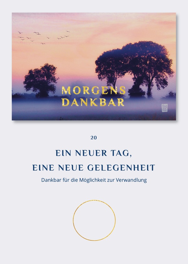 alterslos - 21 Meditationskarten von FindYourNose