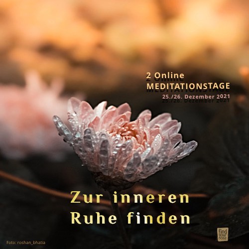 Online Meditationstage