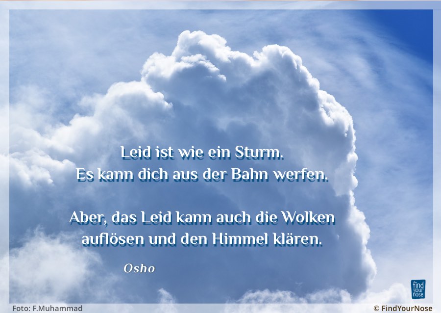 Osho Zitat übers Leiden